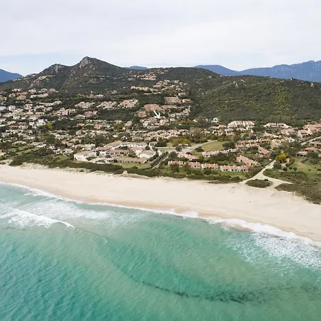 Near The Beach Margherita *