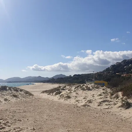 Near The Beach Margherita